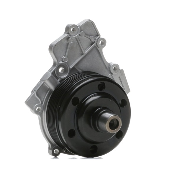 OEM A6512002002 RIDEX Pompa acqua 1260W0641 per MERCEDES-BENZ