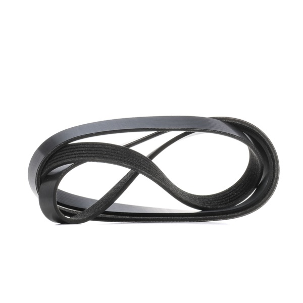 RIDEX Correia trapezoidal estriada (305P0629) para VAUXHALL Vectra Mk II (C) Carrinha (Z02) 3.0 CDTi (135 KW / 184 CV / de 2005)