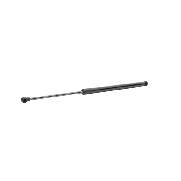 308 Gasveer achterklep 219G1125 RIDEX