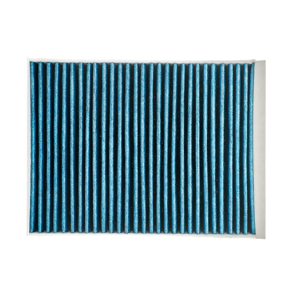 buy Pollen filter - RIDEX PLUS (424I0536P)