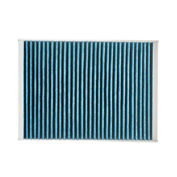 OEM 647946 RIDEX PLUS  Innenraumfilter 424I0582P für VW, FORD, PEUGEOT, CITROЁN, DS