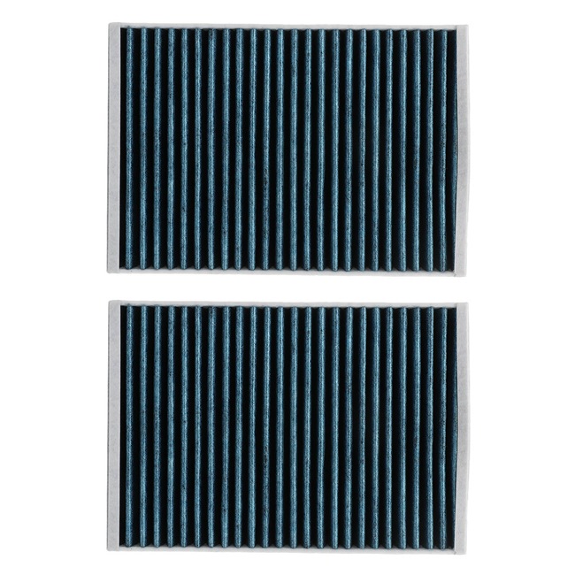 Innenraumfilter RIDEX PLUS 424I0591P