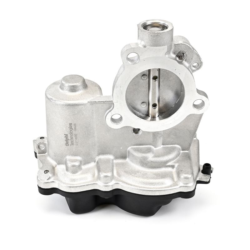 comprar Válvula EGR - DELPHI (EG10630-12B1)