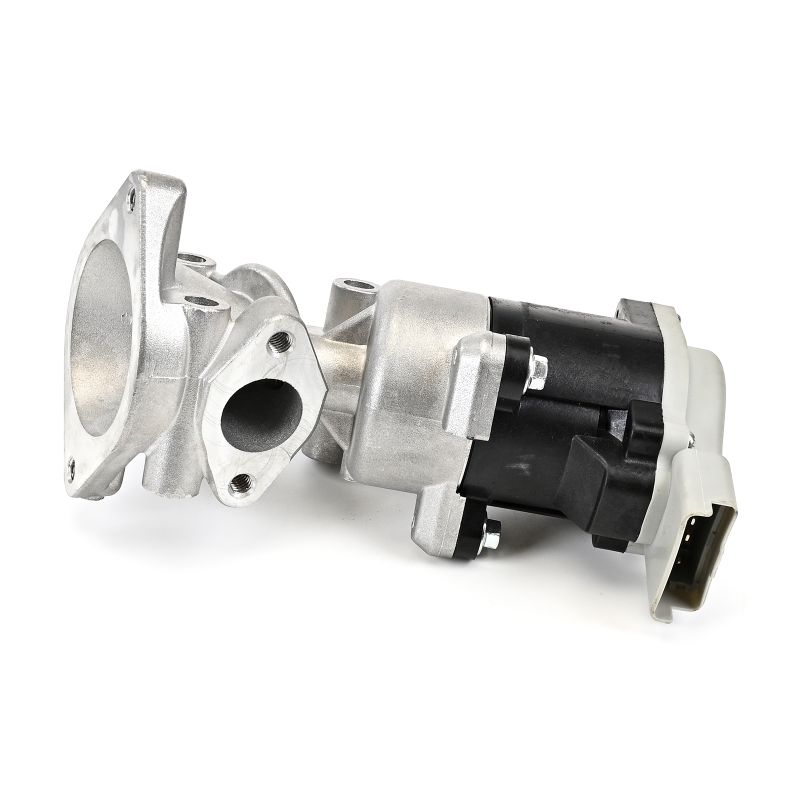 OEM LR006960 DELPHI Venttiili, pakokaasun kierrätys EG10640-12B1 varten LAND ROVER, ROVER, LANCIA