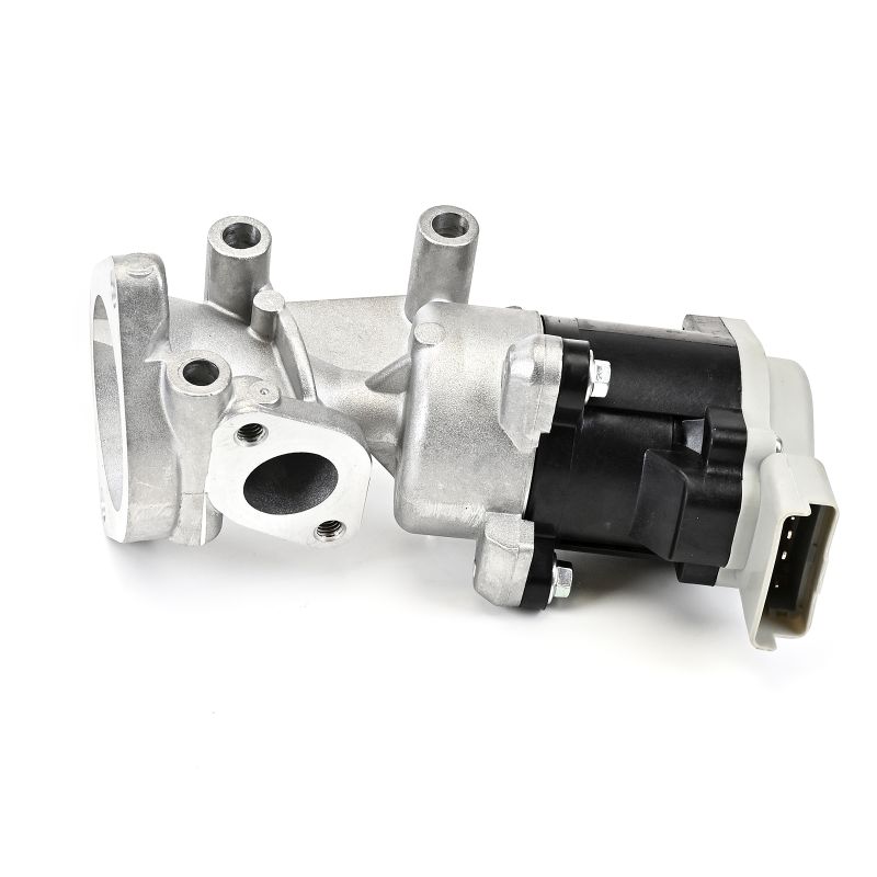 OEM LR018324 DELPHI Venttiili, pakokaasun kierrätys EG10641-12B1 varten LAND ROVER, ROVER, LANCIA