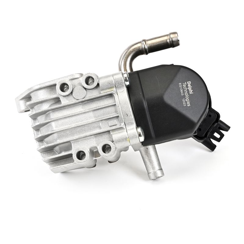 EGR klep (EG10643-12B1) van DELPHI Voor BMW 5 Sedan (F10) 523 i (155 KW / 211 PK / Van 2010)
