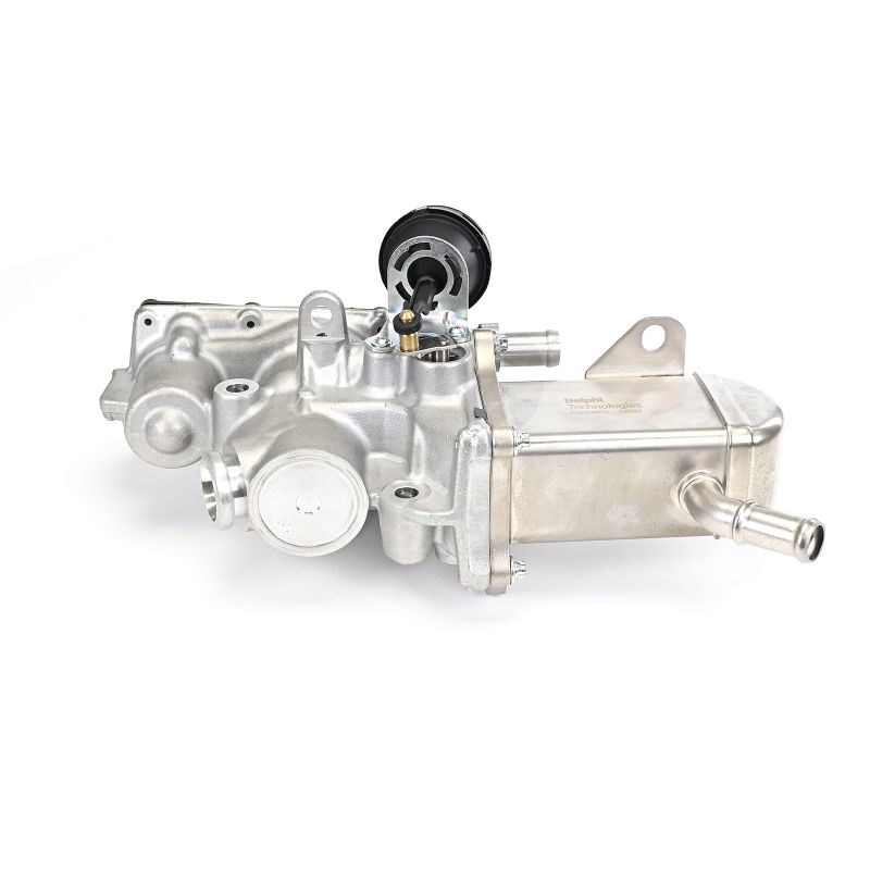 comprar Válvula EGR - DELPHI (EG10652-12B1)