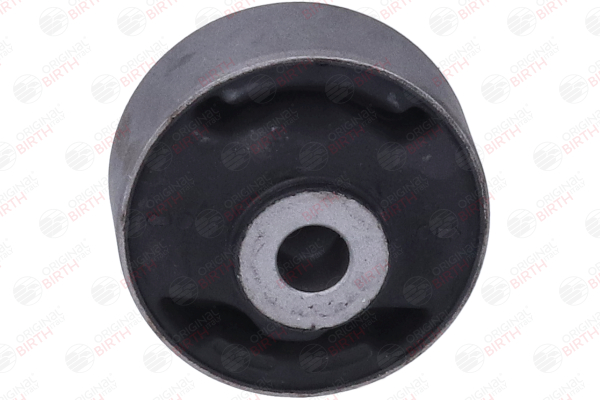 OEM 51391SDAA03 BIRTH Trailing arm / Suspension arm bush 20094 for TOYOTA, HONDA, OPEL