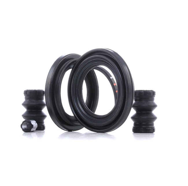 AUTOFREN SEINSA Kit di revisione della pinza freno (D43259) per CITROËN JUMPY Furgonato 1.6 HDi 16V (66 KW / 90 CV / dal 2007)