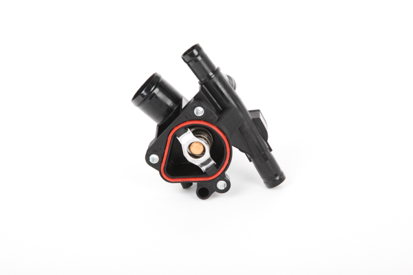 KOLEOS Thermostat d'eau 28.0200-4131.2 Continental
