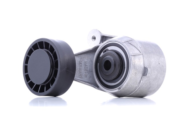Riemspanner, Poly V-riem 06385 van FEBI BILSTEIN