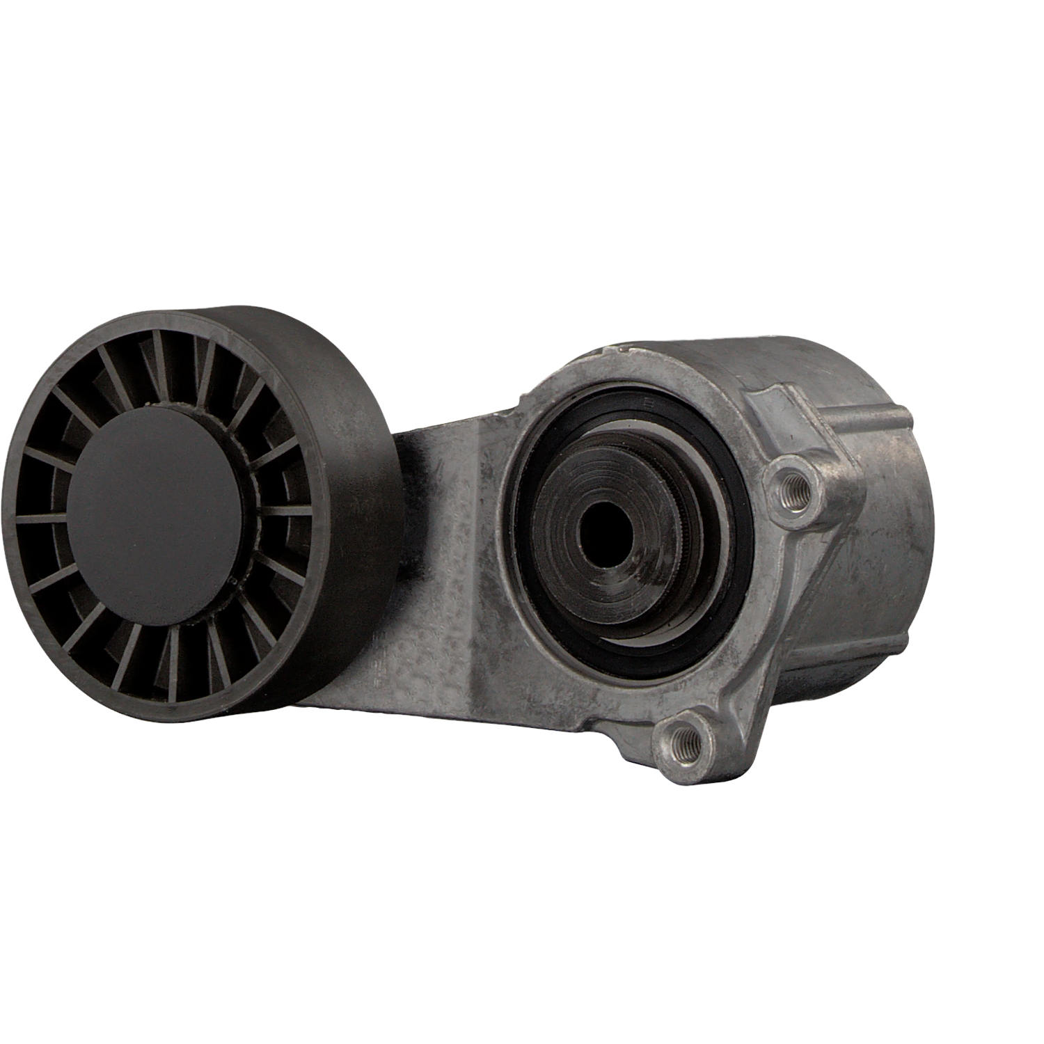 OEM A1022006970 FEBI BILSTEIN Hihnankiristin, moniurahihna 06418 varten MERCEDES-BENZ