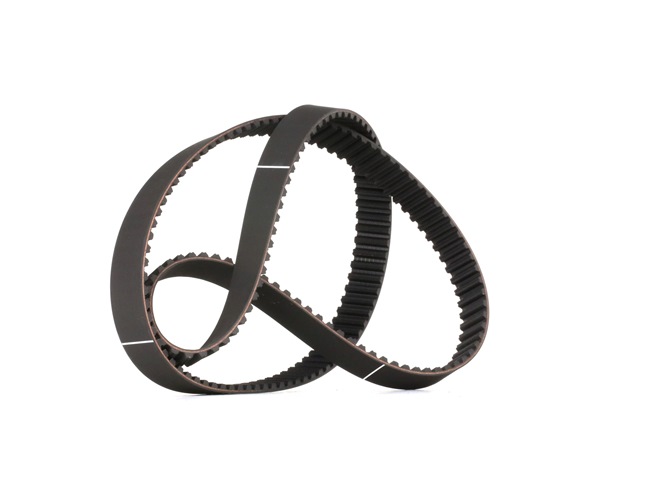 Timing Belt 10982 FEBI BILSTEIN