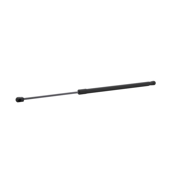 RIDEX Gasveer achterklep 219G1148 voor FORD