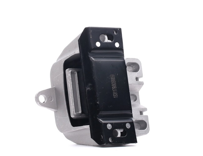 OEM 1J0199555AB RIDEX  Lagerung, Schaltgetriebe 249M0197 für VW, AUDI, SKODA, SEAT