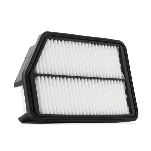 kaufen Luftfilter - RIDEX PLUS (8A0184P)