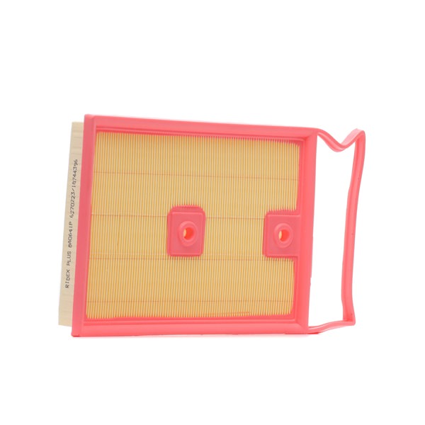 bestellen Luftfilter - RIDEX PLUS (8A0641P)