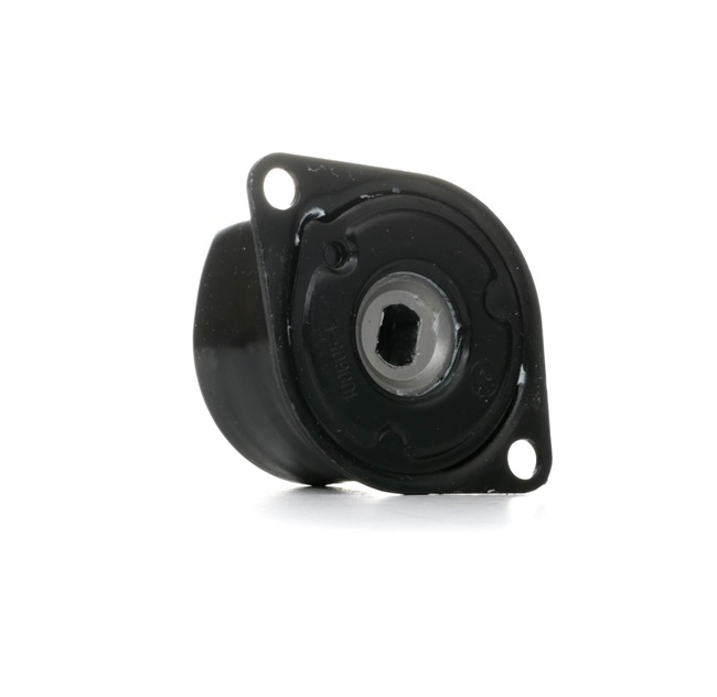 FEBI BILSTEIN Tensor de correa 27814