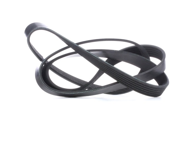 OEM 5750GZ FEBI BILSTEIN Serpentine belt 28953 for VW, TOYOTA, PEUGEOT, CITROЁN
