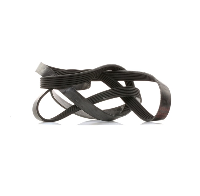 FEBI BILSTEIN Serpentine belt 29005