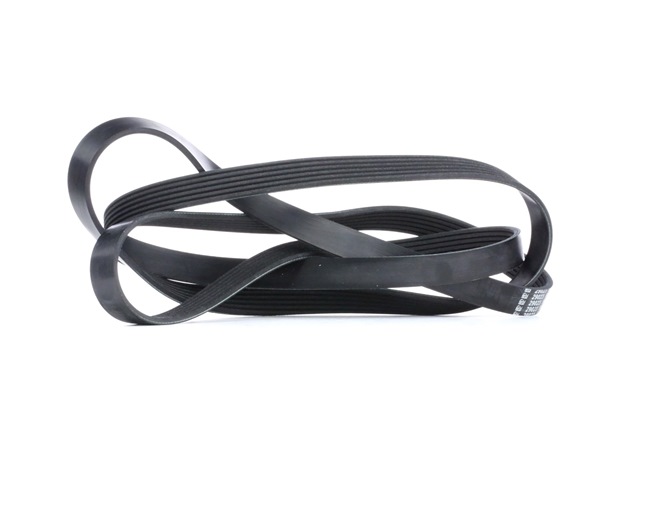 OEM 059903137AG FEBI BILSTEIN Serpentine belt 29023 for VW, AUDI, MERCEDES-BENZ, FORD, SKODA