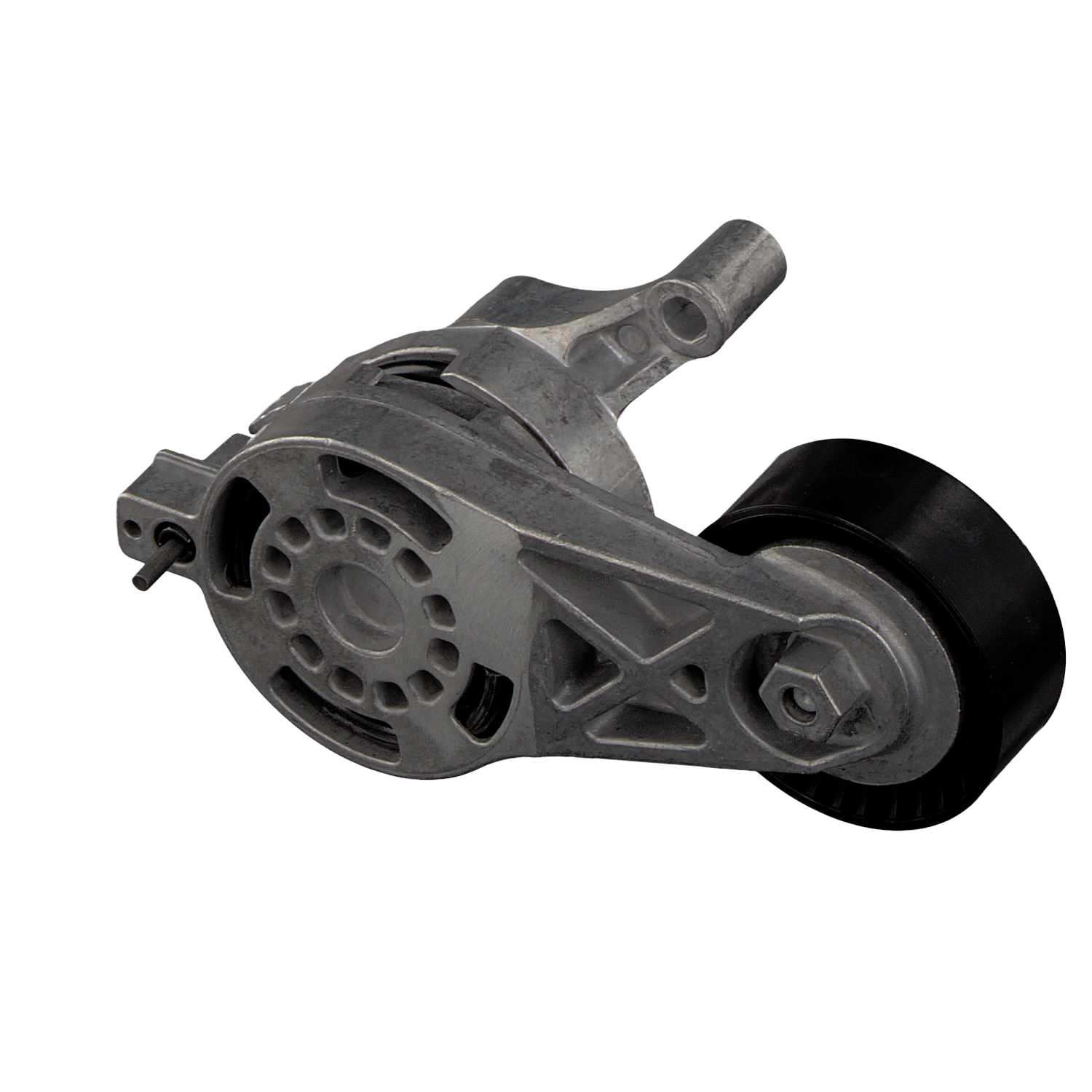 POLO Riemspanner, Poly V-riem 30166 FEBI BILSTEIN