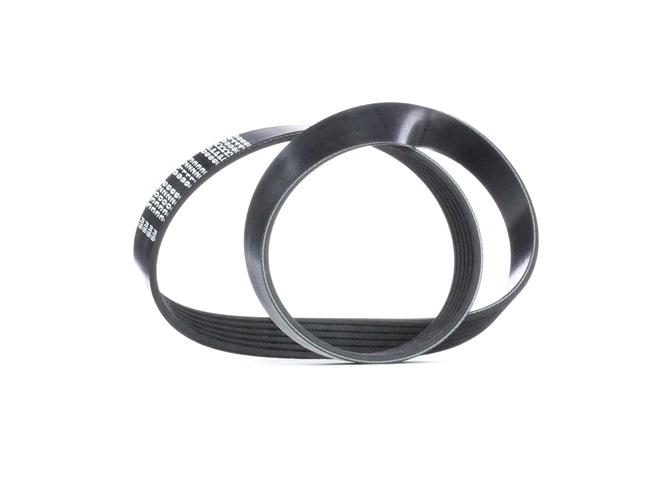 FEBI BILSTEIN Cinghia servizi 33026