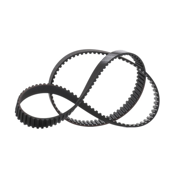 OEM 55188192 RIDEX PLUS Hammashihnat 306T0012P varten FIAT, LANCIA