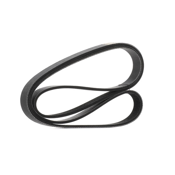 OEM 112877636379 RIDEX PLUS Cinghia servizi 305P0071P per BMW