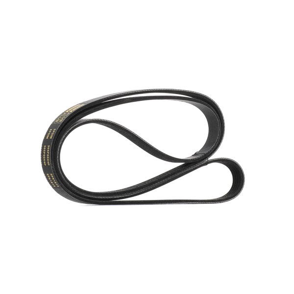 OEM 4448639 RIDEX PLUS Multiriem 305P0044P voor BMW, OPEL, FIAT, KIA, HYUNDAI