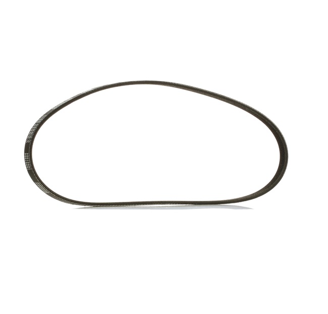 OEM 1727378 RIDEX PLUS Multireim 305P0014P for VW, BMW, AUDI, PEUGEOT, HYUNDAI