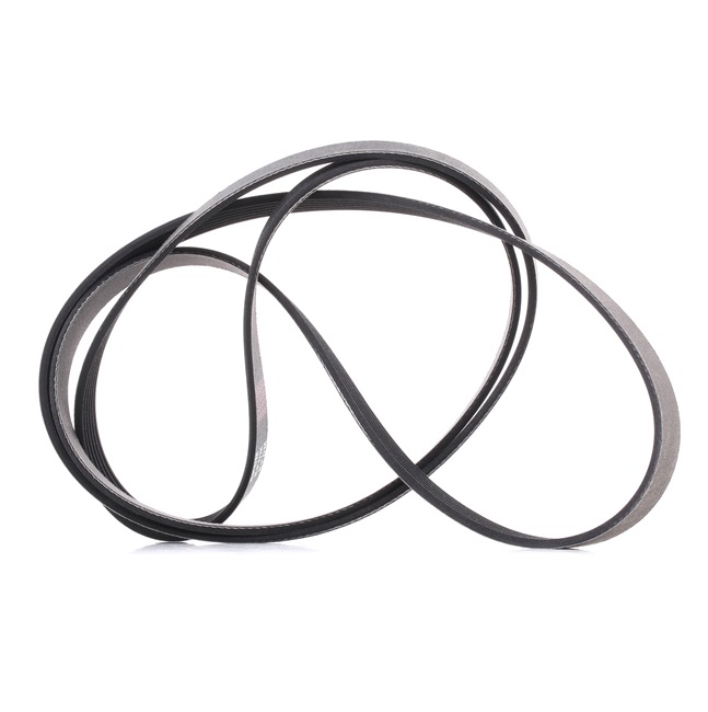 OEM 059903137AG RIDEX PLUS Serpentine belt 305P0112P for VW, AUDI, MERCEDES-BENZ, FORD, SKODA