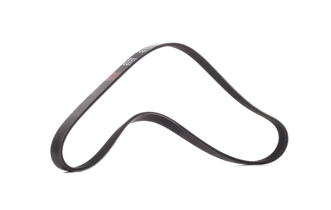 RIDEX PLUS Multiriem 305P0054P
