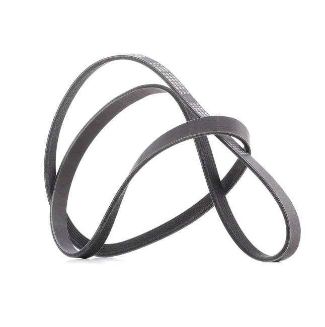 ATLAS Multiriem 305P0077P RIDEX PLUS
