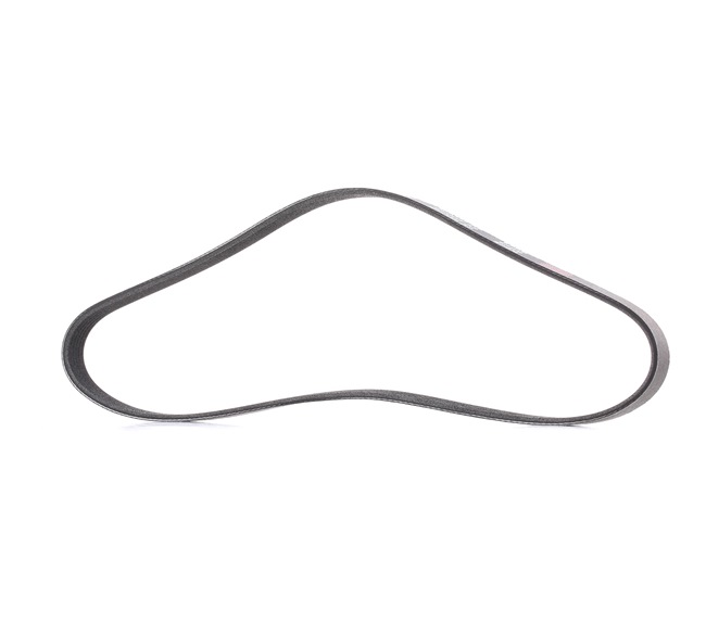 OEM 128051 RIDEX PLUS Serpentine belt 305P0165P for VW, AUDI, PEUGEOT, HONDA, SKODA