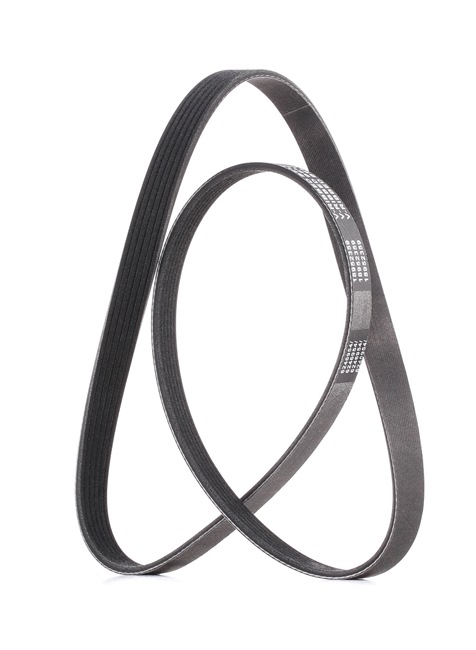OEM 71754366 RIDEX PLUS  Keilrippenriemen 305P0179P für FIAT, CHEVROLET, JEEP, ALFA ROMEO, CHRYSLER