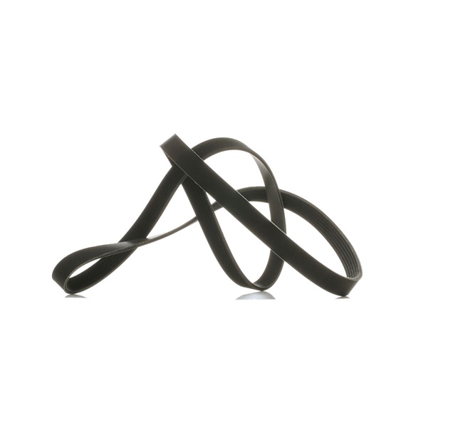 OEM 11288575058 RIDEX PLUS Correa trapecial poli V 305P0147P para BMW, MINI, VAUXHALL
