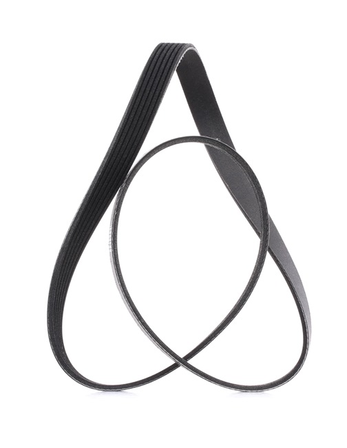 OEM 038903137AA RIDEX PLUS Correa trapecial poli V 305P0302P para VOLKSWAGEN, BMW, SEAT, RENAULT, AUDI