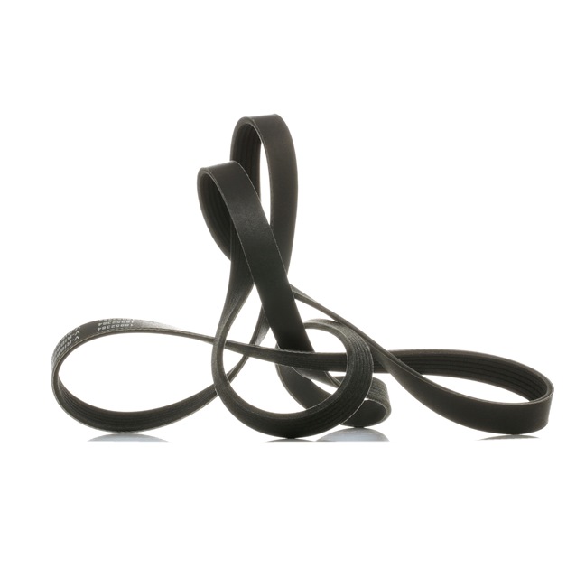 RIDEX PLUS Serpentine belt 305P0119P