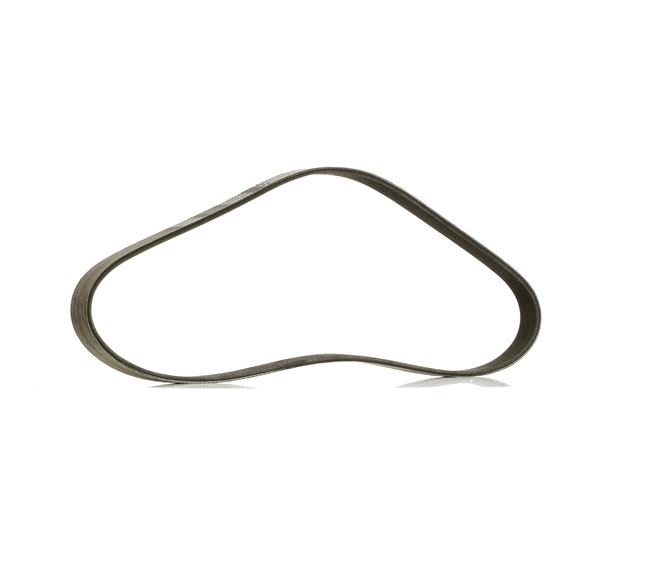 924 Serpentine belt 305P0183P RIDEX PLUS