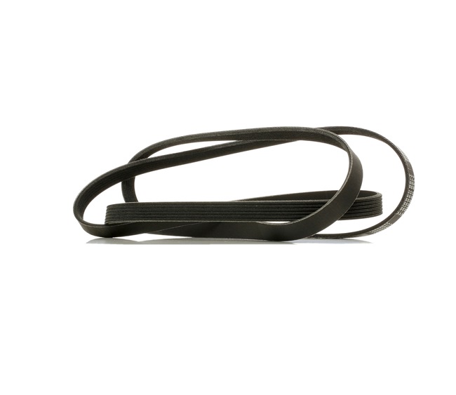 OEM 059903137AE RIDEX PLUS  Keilrippenriemen 305P0365P für VW, AUDI, SKODA, SEAT, HYUNDAI