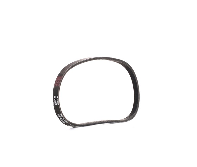 MG 6 Multirem 305P0003P RIDEX PLUS