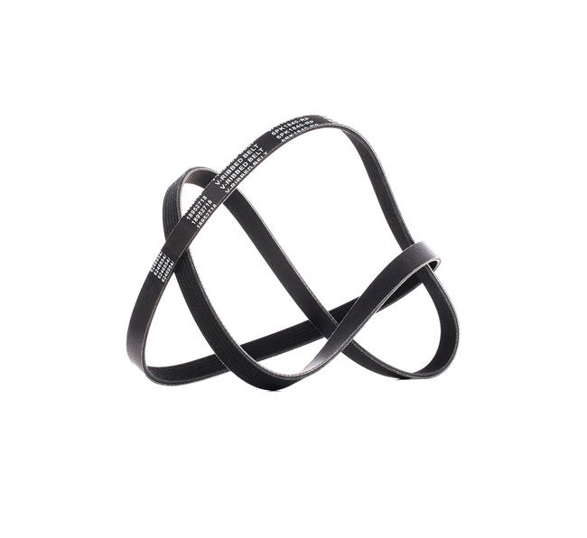 OEM 19172683 RIDEX PLUS Cinghia servizi 305B0286P per MERCEDES-BENZ, CHEVROLET, PONTIAC, GMC, OLDSMOBILE