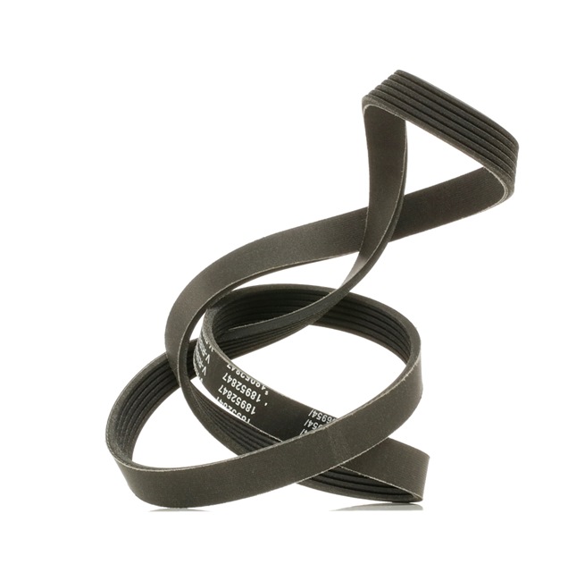 ARENA Multirem 305P0138P RIDEX PLUS