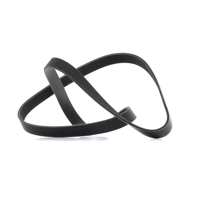 Multiriem (305P0237P) van RIDEX PLUS Voor BMW 5 Sedan (F10) M5 30th Anniversary (441 KW / 600 PK / Van 2014)
