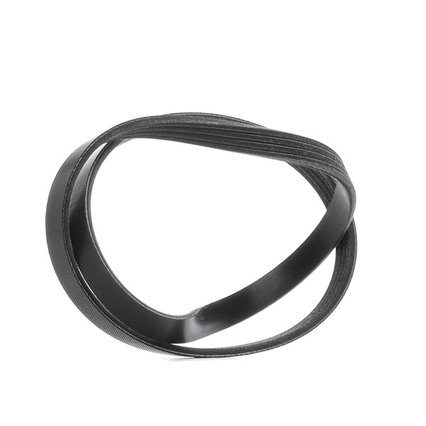 Keilrippenriemen RIDEX 305P0644