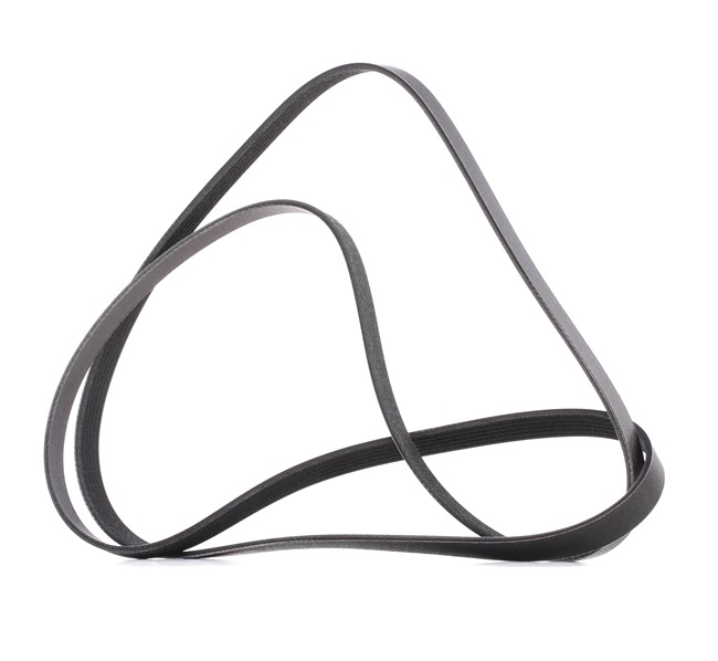 Keilrippenriemen RIDEX PLUS 305P0531P