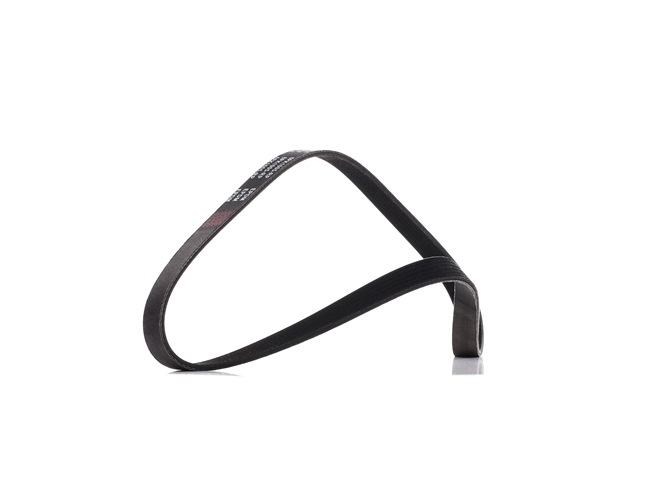 LEON Multiriem 305P0425P RIDEX PLUS