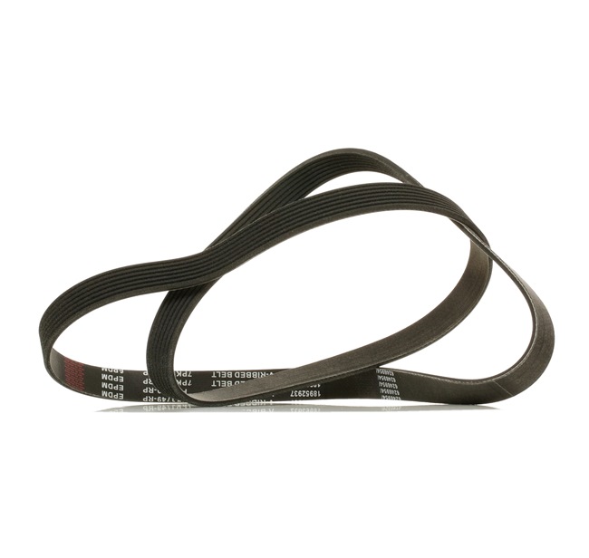 RIDEX PLUS Correia do alternador 305P0344P