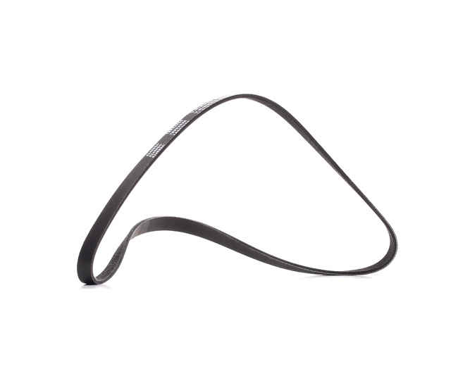 RIDEX PLUS Ribrem 305P0033P